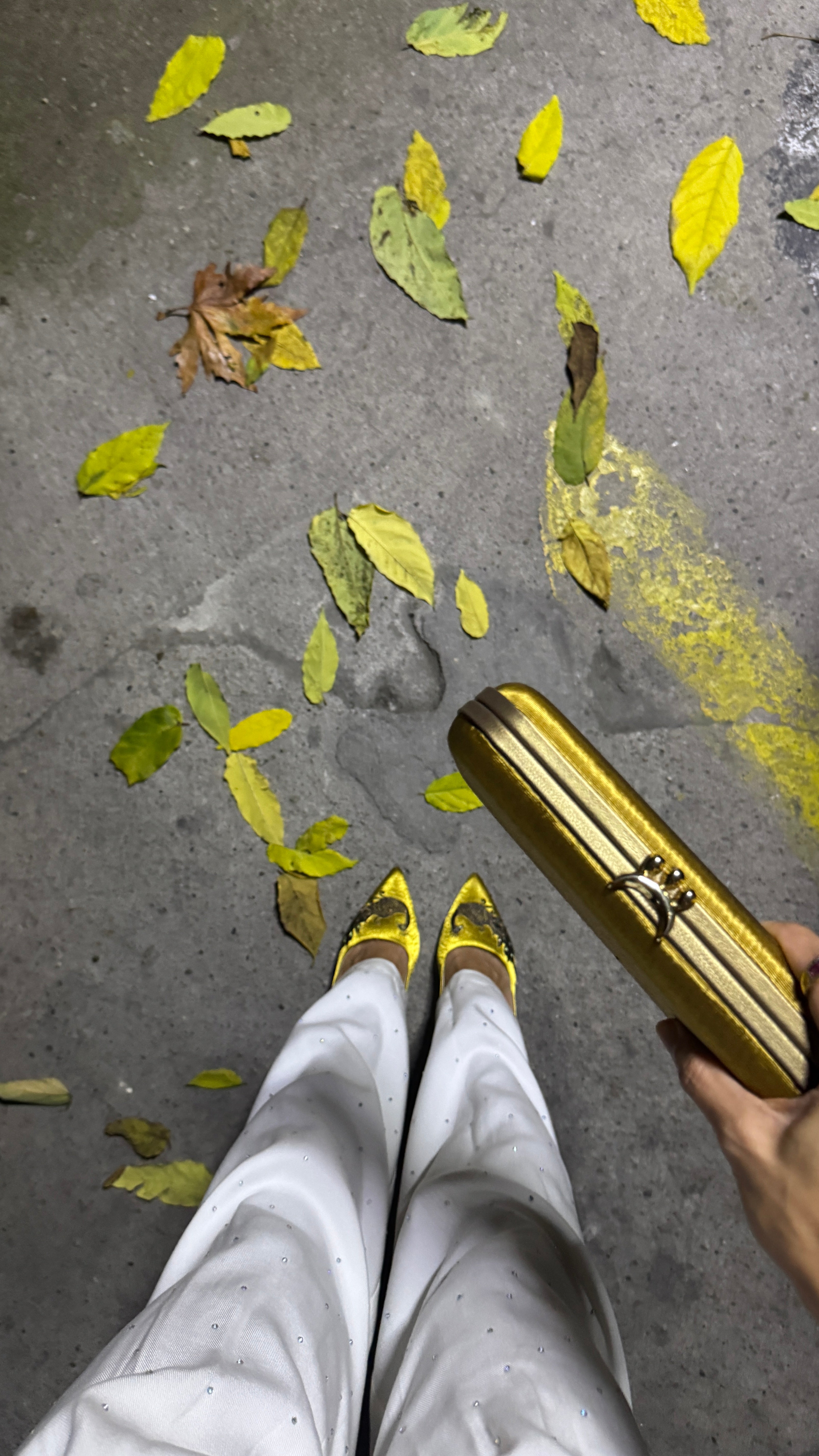 CLEA Minaudiere Clutch - Sultana