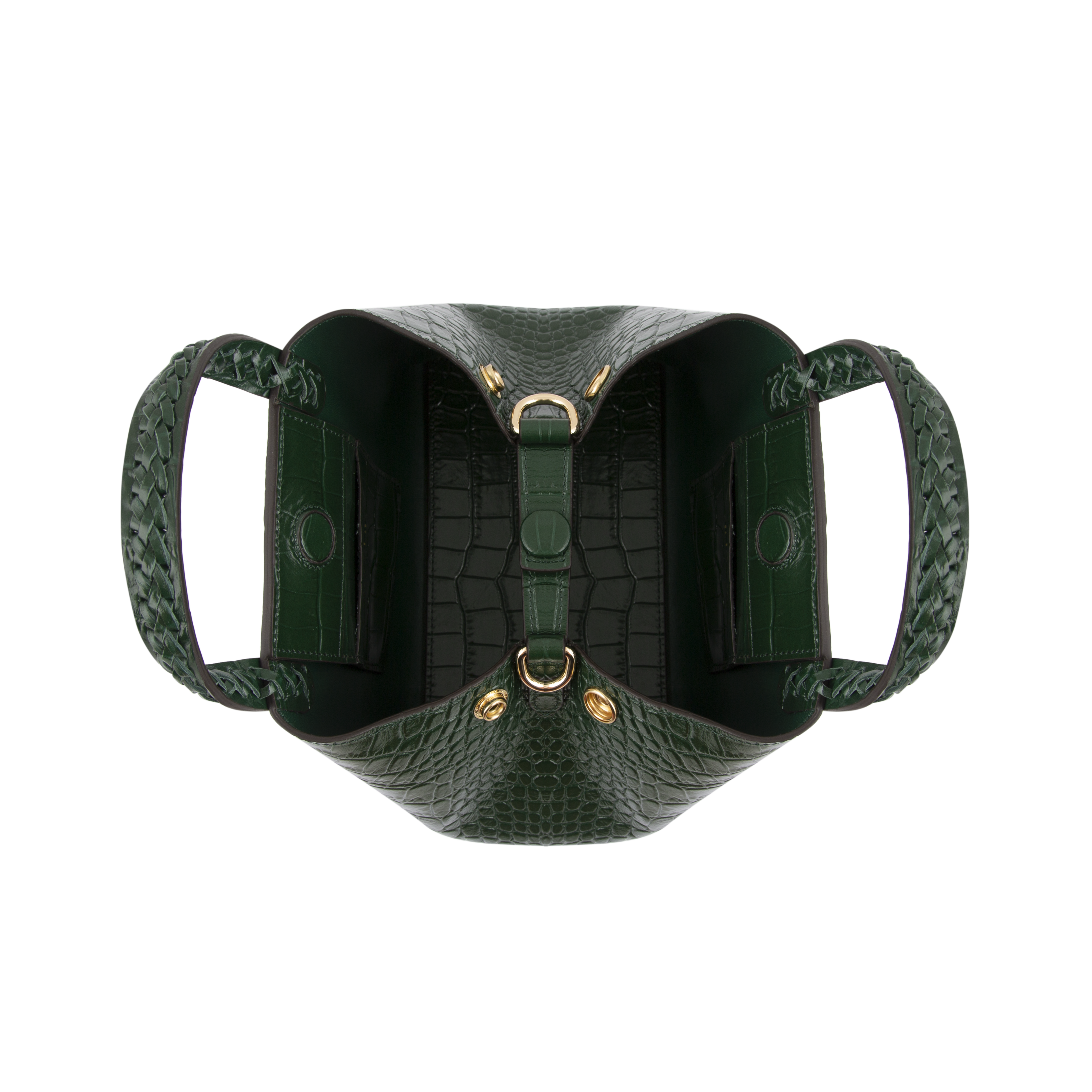 Mini Hemithea - Green Croco